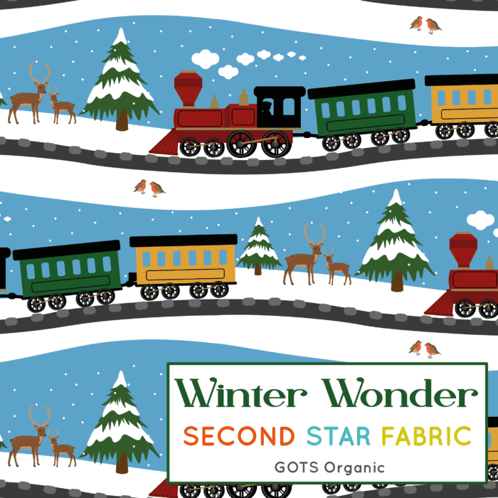 winter trains jersey fabric