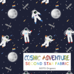 CosmicAdventureweb-01